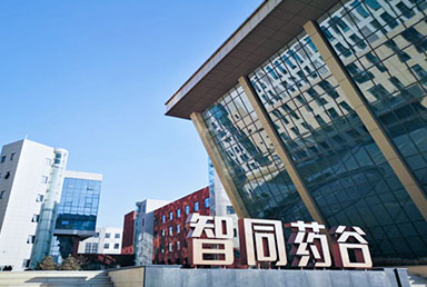 服裝廠(chǎng)家