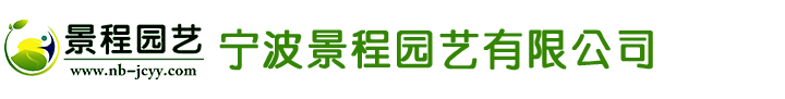 東莞市凱錦服飾有限公司